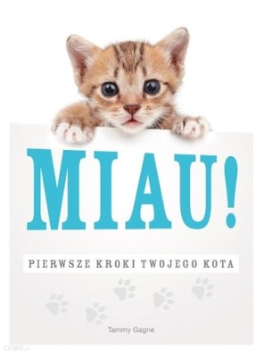 Miau Pierwsze kroki twojego kota