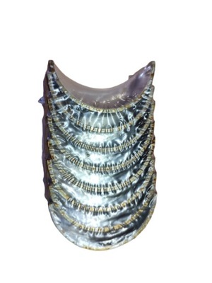 #2040 panewki korbowodowe RENAULT 1.2-1.6 K7M 0,50