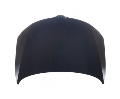 Капот skoda rapid 12- 5ja823031b фото №1