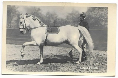 Lenger Zugel [koń - jeździectwo- długie wodze] fotografia na papierze poczt