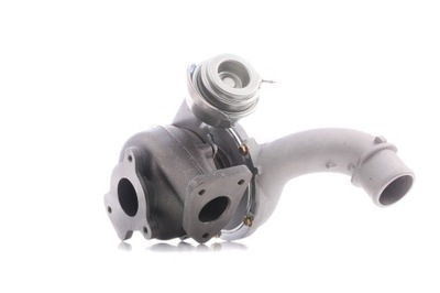 Турбонагнітач ridex 2234c0441 do renault espace iv jk0/1 laguna ii фото №1