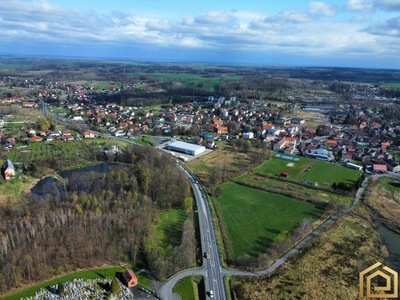 Działka, Olszyna (gm.), 4722 m²