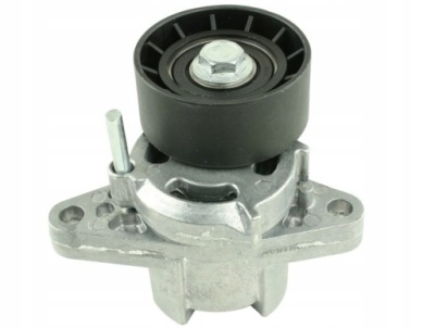 Натяжитель ремень micro-v do renault laguna ii 1.6 фото №1