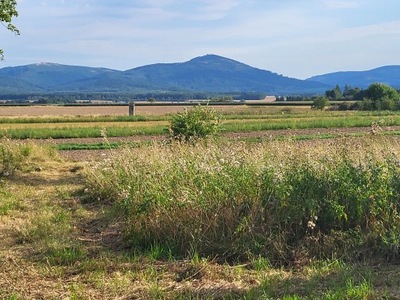 Działka, Nowy Las, 1000 m²