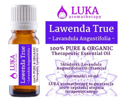 LAVENDER TRUE lawendowy (Lavandula angustifolia)