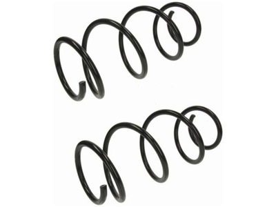 Пружины перед renault clio iii 1.1-1.6 05-14 фото №1