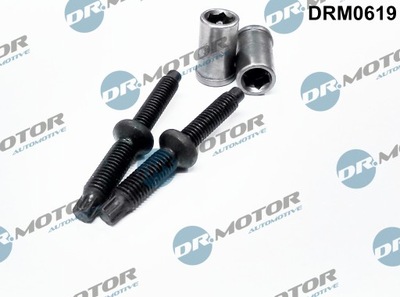 DR. MOTOR JUEGO PERNOS BOQUILLA CITROEN C4 2,0HDI 98- 4 ELEMENTOS  