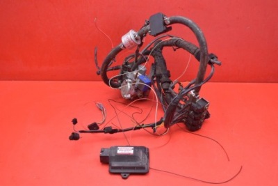 Комплектна електропроводка газова 67r-017009 stag 200 gofast фото №1