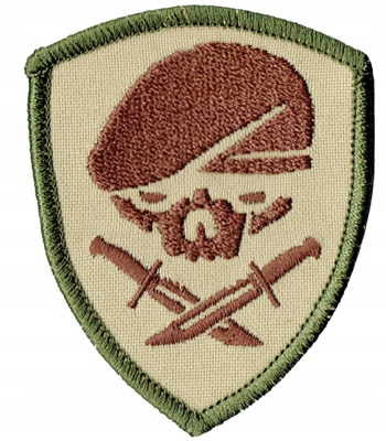 MEDAL OF HONOR SKULL morale patch NASZYWKA