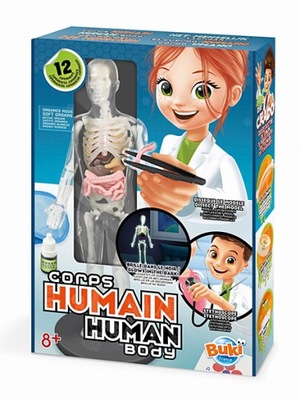 BUKI - Ciało ludzkie - Ciało człowieka MODEL