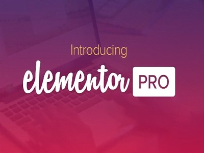 Wtyczka Addon Plugin Elementor Pro WordPress