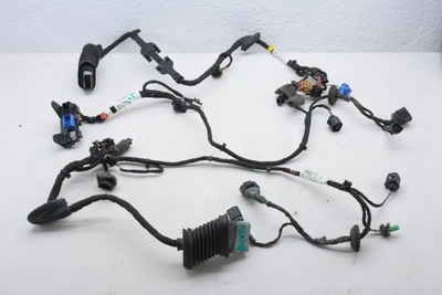 Bentley continental flying spur джгут двері ліва права перед задня фото №1