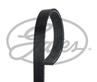 Alt drive belt. 5x 788 GATES 5PK788