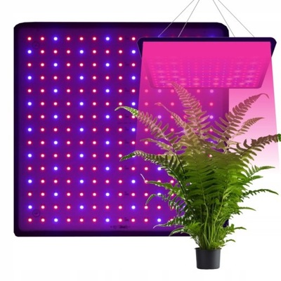 Lampa do wzrostu UV roślin wisząca uprawa roślin PANEL linki 225 LED SLIM