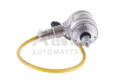 STEGMANN ANDRAS 4626C1000000