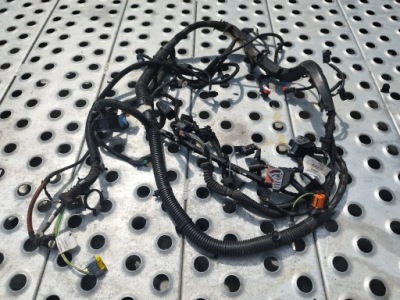 Электропроводка двигателя rhk rhr euro 4 scudo expert jumpy 07- фото №1