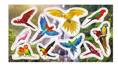 Naklejki klasyczne Ranok-Creative Papugi 10 sztuk
