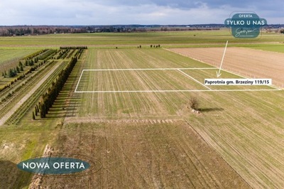 Działka, Paprotnia, Brzeziny (gm.), 1000 m²