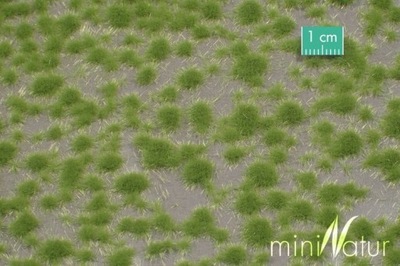 MiniNatur: Tuft - Krótka wiosenna trawa (15x4 cm)
