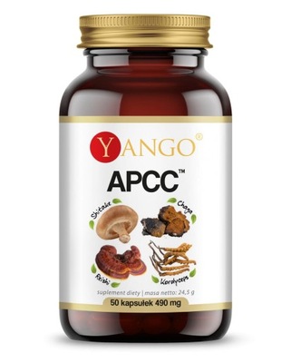 APCC - grzyby-reishi-kordyceps (YANGO)