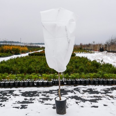 KAPTUR OCHRONNY AGROWŁÓKNINA P50 (UV) 80x120 cm zimowy worek na rośliny