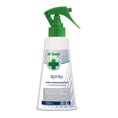 DR SEIDEL spray z chlorheksydyną 100ml