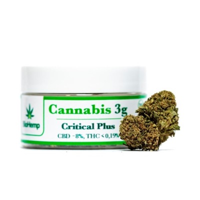 Susz CBD 8 %, Critical Plus – Cannabis 3g, BioHemp