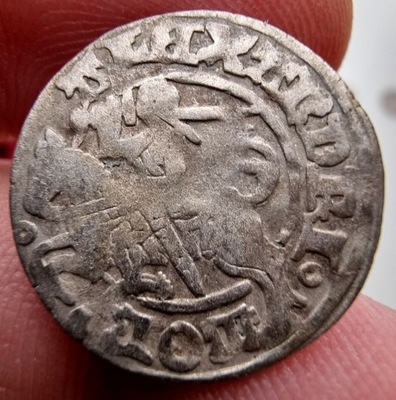 NumisMATI 200 Półgrosz Aleksander Jagiellończyk