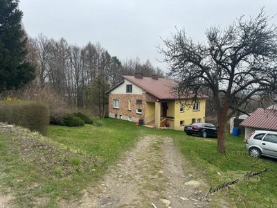 Dom, Borówki, Chmielnik (gm.), 160 m²