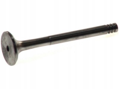 FRECCIA R4367/R SOUPAPE ÉCHAPPEMENT VW 