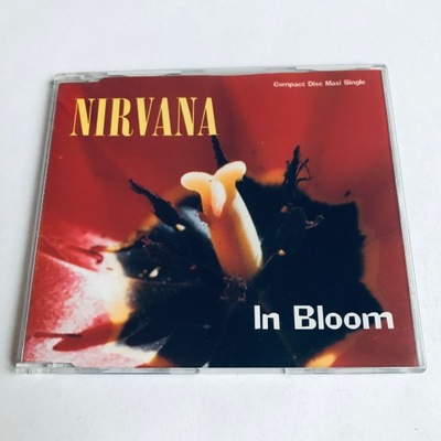 Nirvana - In Bloom