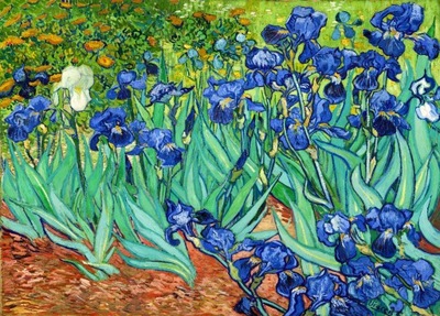 Vincent van Gogh IRYSY 120x90cm obraz przepiękny