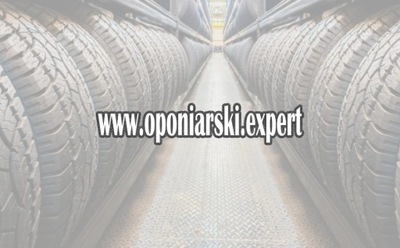 Domena Internetowa WWW.OPONIARSKI.EXPERT