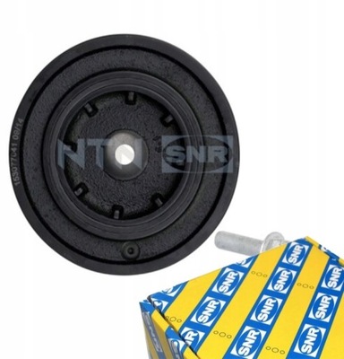 Snr dpf355.22k1 шків, wał колінчастий фото №1