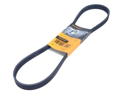 Contitech 6PK1015