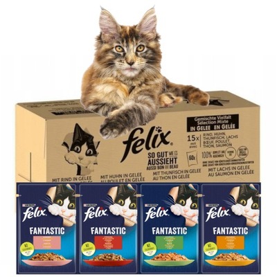 Felix Fantastic mix smaków 120x85g