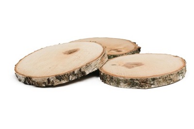 Plaster drewna o śr. 24-28 cm, gr. 2,5 cm
