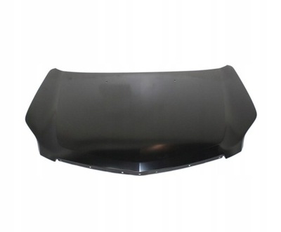 HOOD CADILLAC SRX 07.09- 20857909PFM  