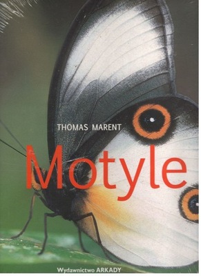 Motyle - Thomas Marent