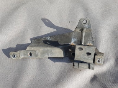 Петля капот решётка жабо правый man tgl tgm euro 6 фото №1