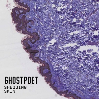 Ghostpoet - Shedding Skin (winyl) (winyl)