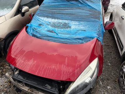 Renault scenic iii lift капот колір tennj фото №1