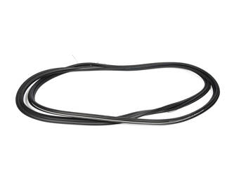 Прокладка двері задніх transit/tourneo custom 12- фото №1