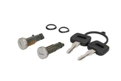 PIEZA INSERTADA DE CERRADURA DT SPARE PARTS 5.55161  