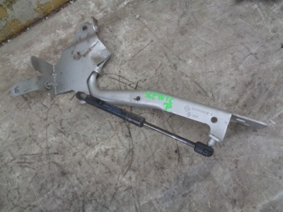 Петля капот правий renault scenic 3 iii ted69 фото №1