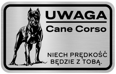 Uwaga Pies Tabliczka informacyjna Cane Corso