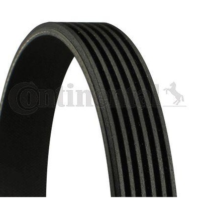 BELT MULTI-RIBBED CONTINENTAL CTAM 6PK2055  