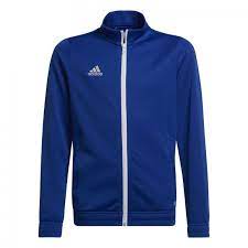 Bluza adidas Entrada HG6288 roz 164 Niebieska