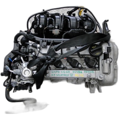 Двигатель g4fd kia sportage iv 1.6 gdi 2018r фото №1