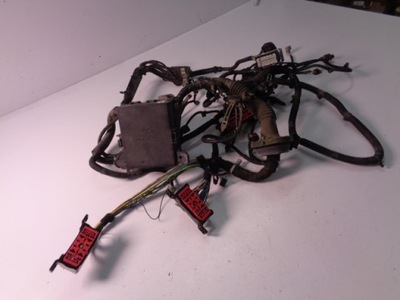 Електропроводка двигуна ford ecosport mk2 1.0 eco boost 2014 rok фото №1